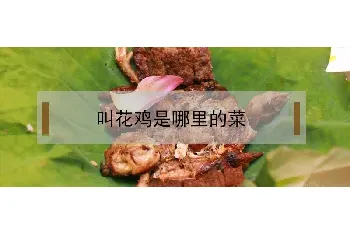 叫花鸡是哪里的菜