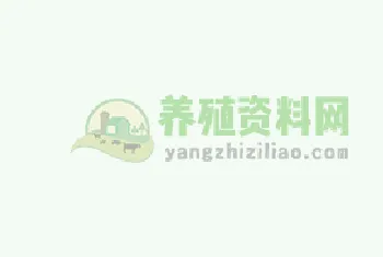 杏成熟期是什么时间几月上市