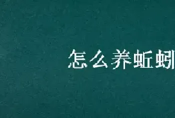 怎么养蚯蚓