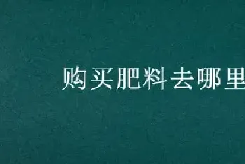 购买肥料去哪里买