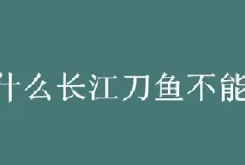 为什么长江刀鱼不能人工养殖?