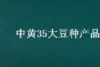 中黄35大豆种产品介绍