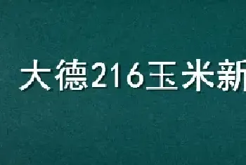 大德216玉米新品种