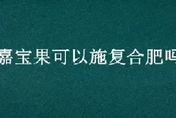 嘉宝果可以施复合肥吗