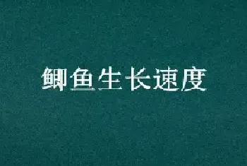 鲫鱼生长速度