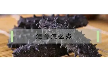 海参怎么煮