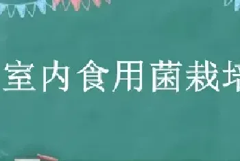 室内食用菌栽培技术