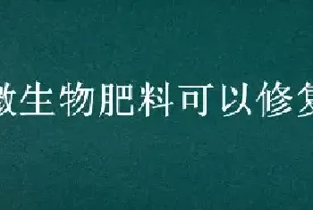 微生物肥料可以修复土壤吗