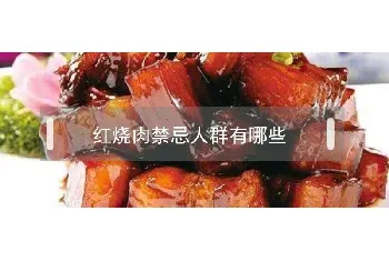 红烧肉禁忌人群有哪些