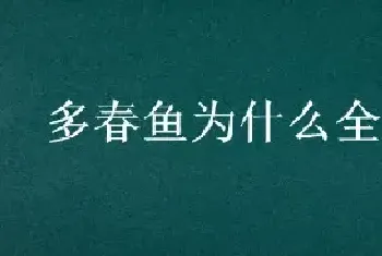 多春鱼为什么全是籽