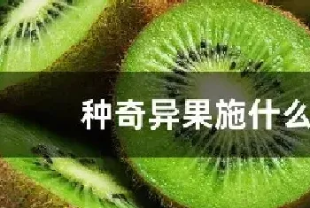 种奇异果施什么肥