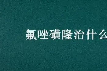 氟唑磺隆治什么草