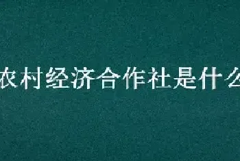 农村经济合作社是什么