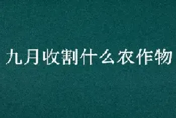 九月收割什么农作物