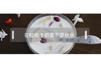 花胶炖牛奶要不要放水