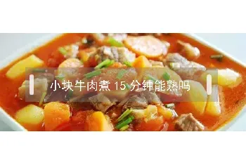 小块牛肉煮15分钟能熟吗