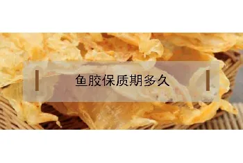 鱼胶保质期多久？怎么存放好