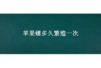 苹果螺多久繁殖一次