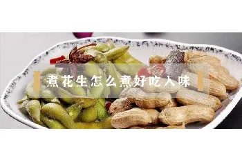 煮花生怎么煮好吃入味