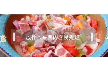 放什么东西肉容易煮烂