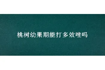 桃树幼果期能打多效唑吗