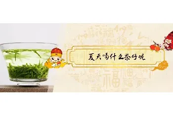 夏天喝什么茶好呢