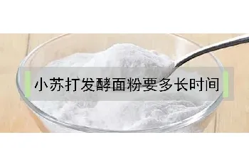 小苏打发酵面粉要多长时间