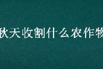 秋天收割什么农作物