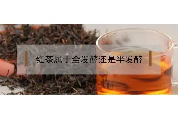 红茶属于全发酵还是半发酵