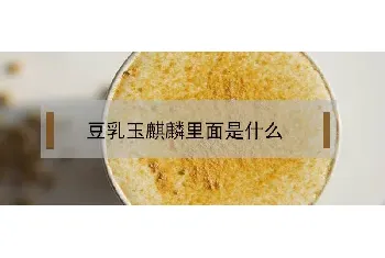 豆乳玉麒麟里面是什么