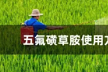 五氟磺草胺使用方法