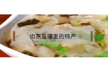 肉燕是哪里的特产