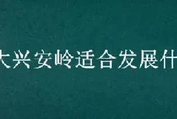 大兴安岭适合发展什么农业