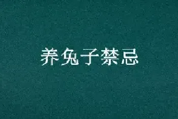 养兔子禁忌