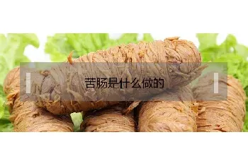 苦肠是什么做的？好吃吗