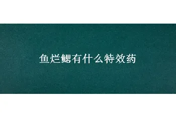 鱼烂鳃有什么特效药