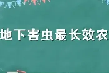 杀地下害虫最长效农药颗粒剂