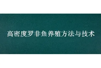 高密度罗非鱼养殖方法与技术