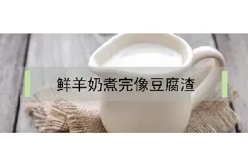 鲜羊奶煮完像豆腐渣