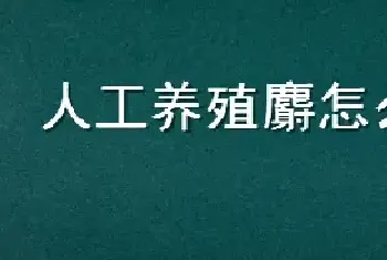 人工养殖麝怎么养