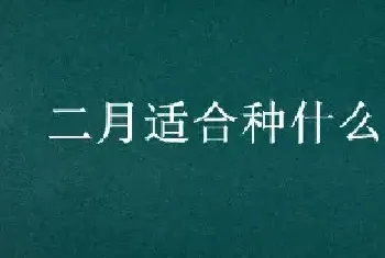 二月适合种什么蔬菜