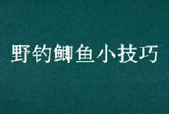 野钓鲫鱼小技巧