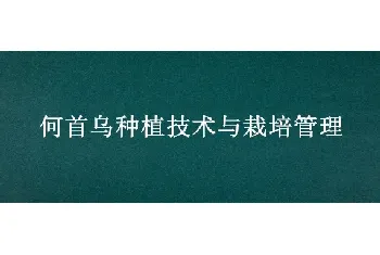 何首乌种植技术与栽培管理