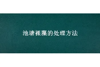 池塘裸藻的处理方法