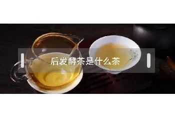 后发酵茶是什么茶