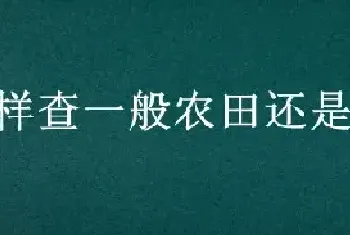 怎样查一般农田还是基本农田