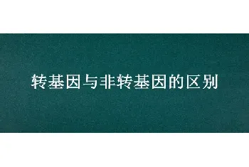 转基因与非转基因的区别