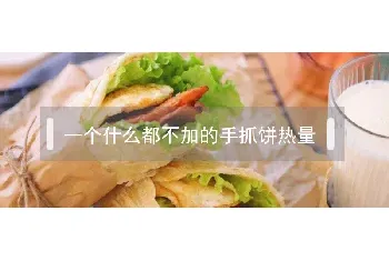 一个什么都不加的手抓饼热量