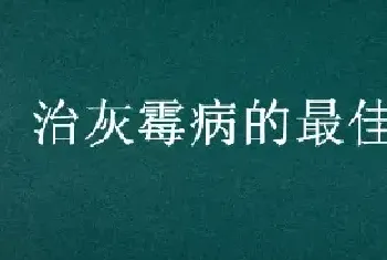 治灰霉病的最佳农药