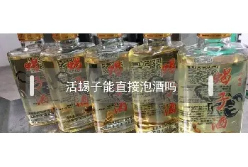 活蝎子能直接泡酒吗